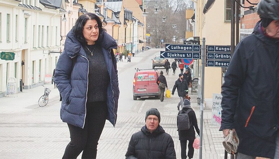 FOKUS: Sverige som fristad